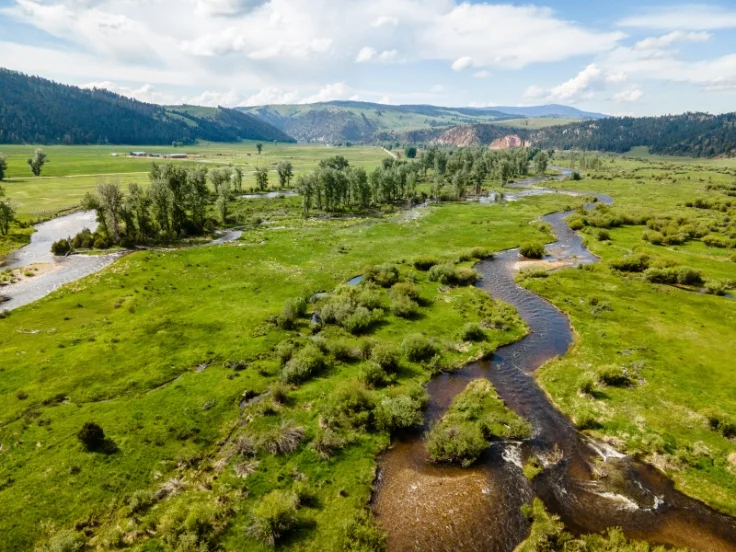 a large, green river valley with many meanders and mountains