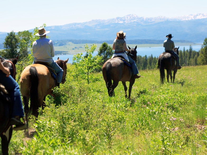 a group of people riding horses in a green field with a lake and mountain in the background
