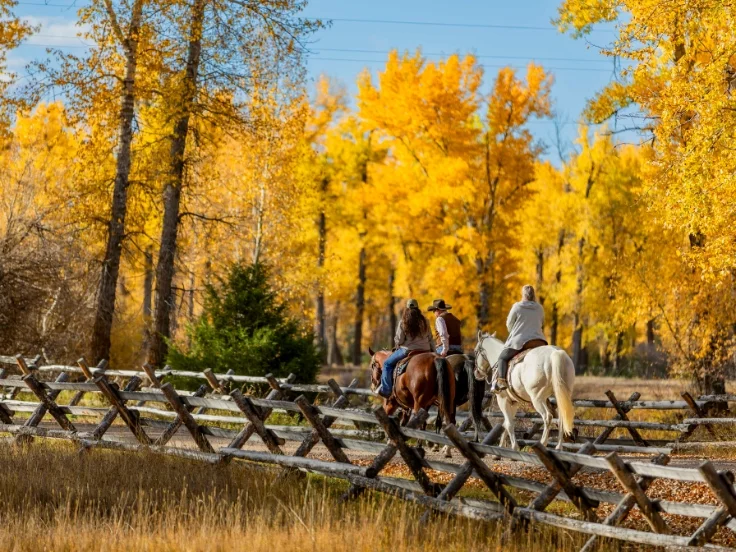 three riders on horses riding along a yellow cottonwood grove