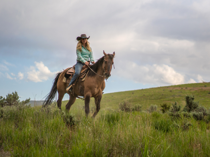 women in cowboy hat on a brown horse