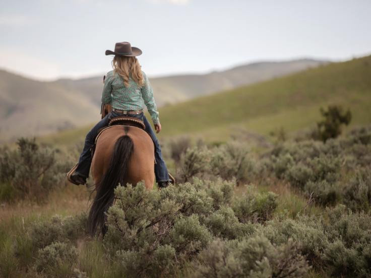 montana horse riding