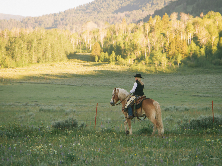 montana horseback guest ranch