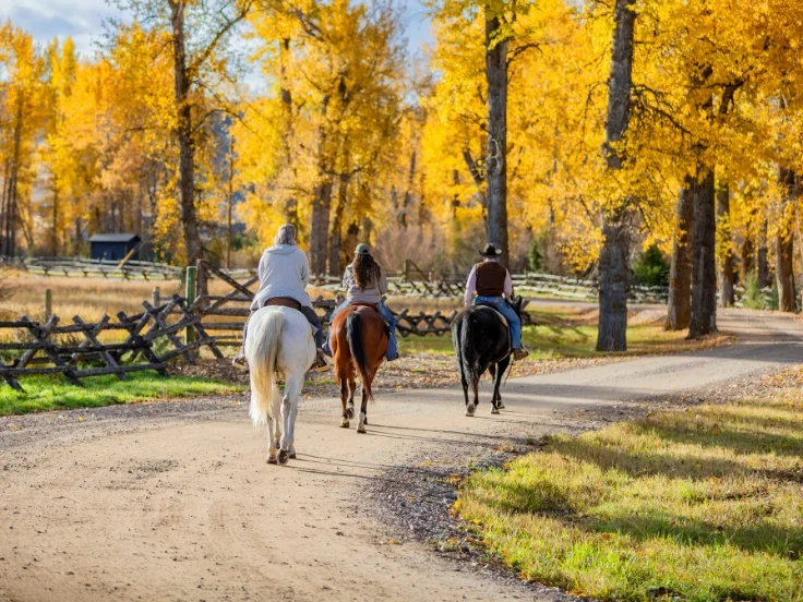 three riders on horses riding along a yellow cottonwood grove