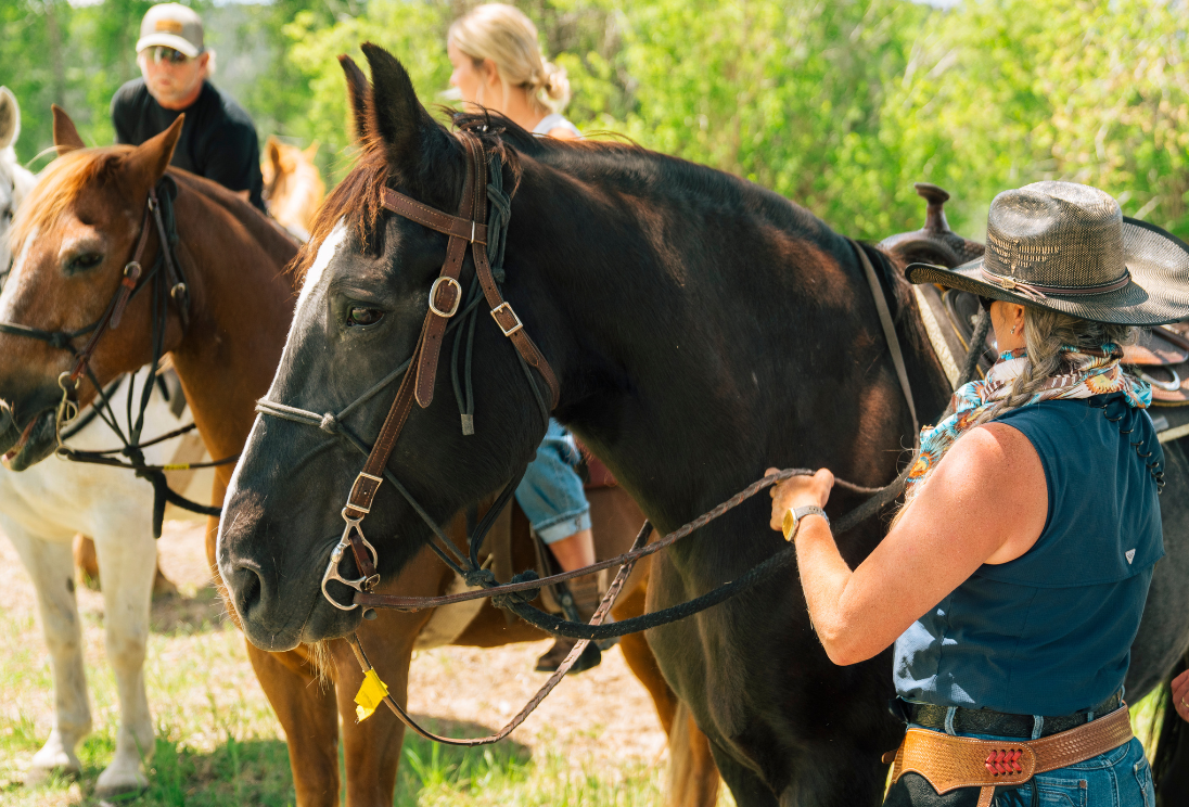 woman stands in front of a brown horse