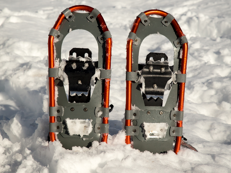 two snowshoes are set in the snow