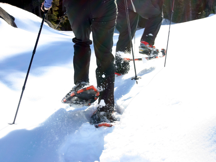 group of people snowshoeing on snowy terrain