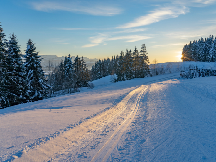 cross country ski trail