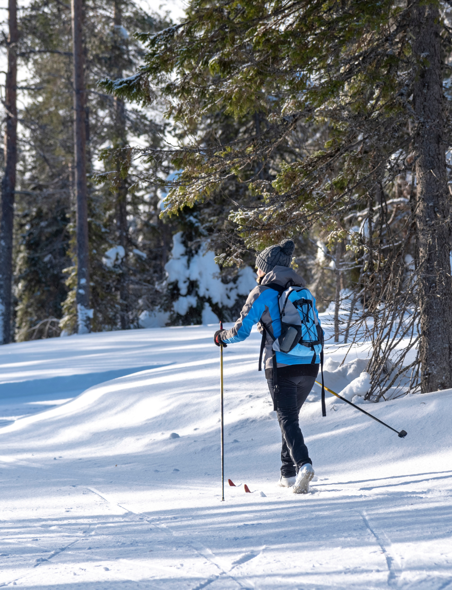 Cross country skier