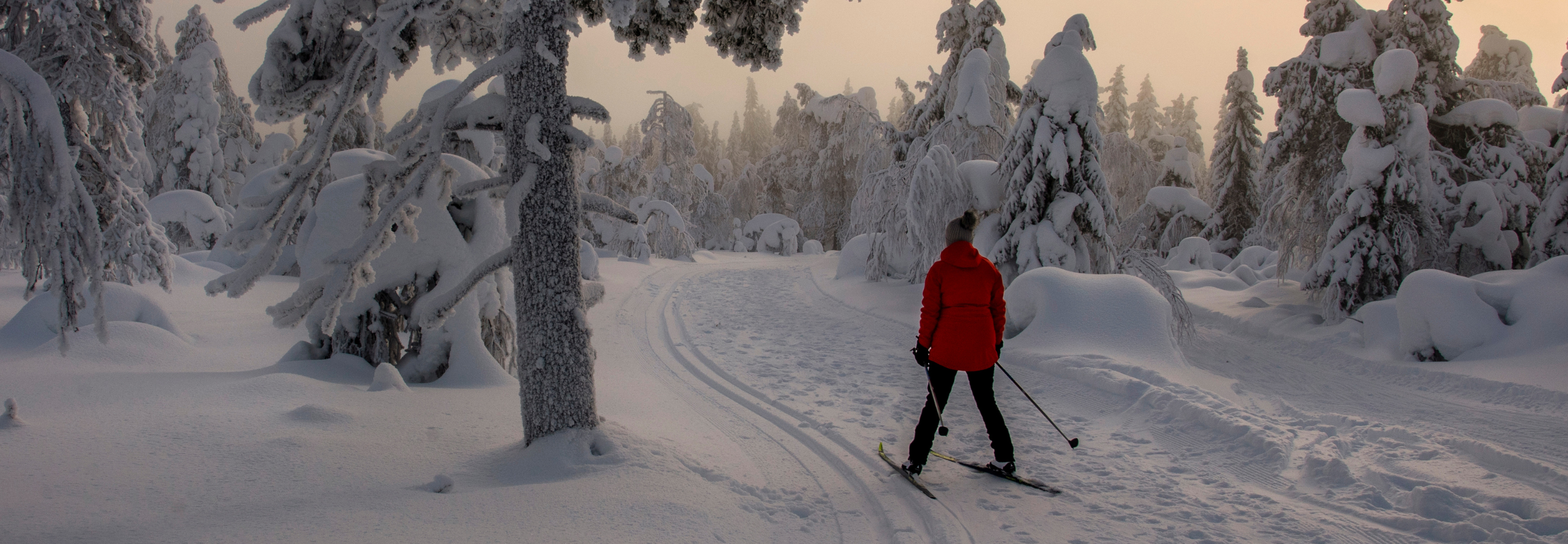 cross country skier