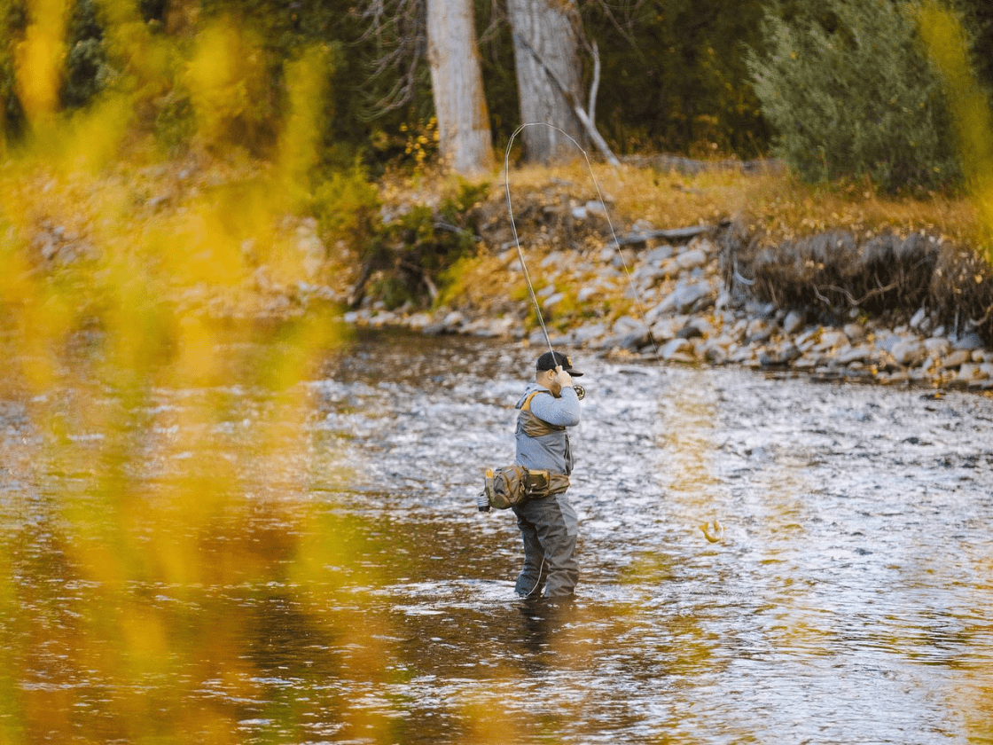 montana fly fishing cabin rental