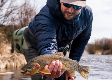 man holds a large cutthroat trout on a river