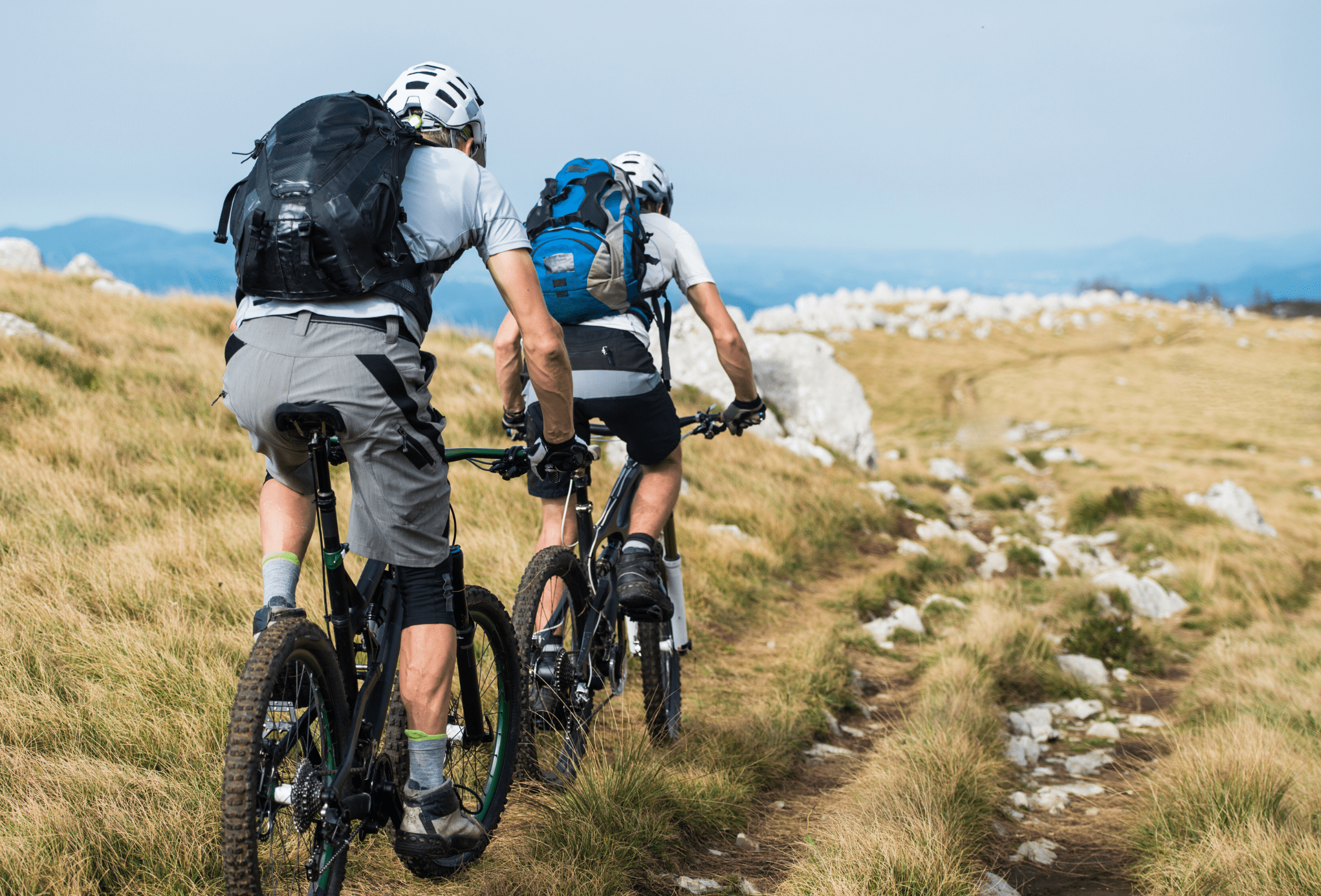 two mountain bikers travel on a grassy trail