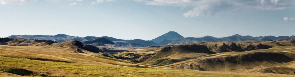 grassy scenery with mountains in the background