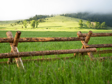 a wooden fence in a grassy field