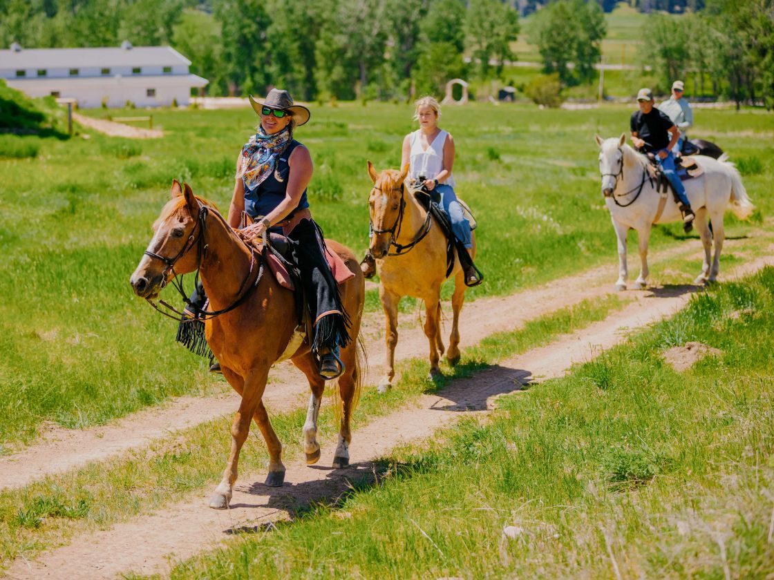 horseback rock creek montana