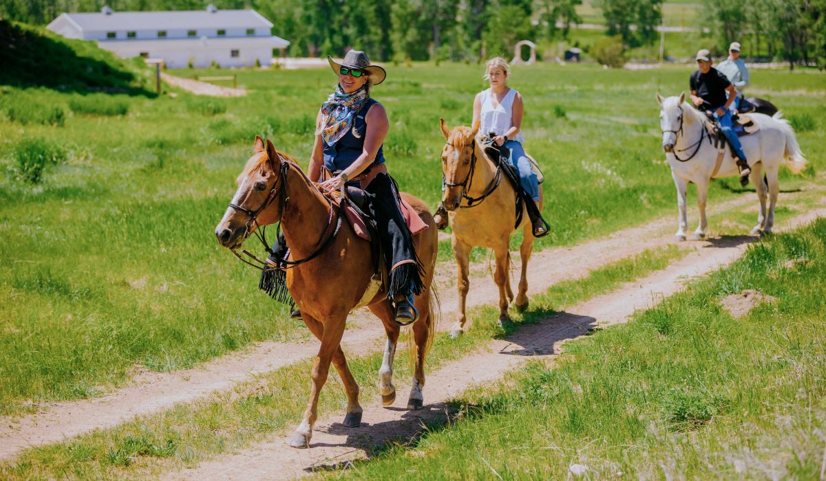 four people on horseback riding on a path