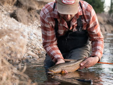 man in red flannel shirt holds a brown trout in a river