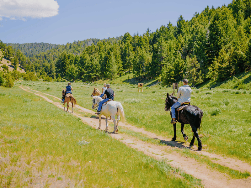 several people on horseback riding along a trail in Montana