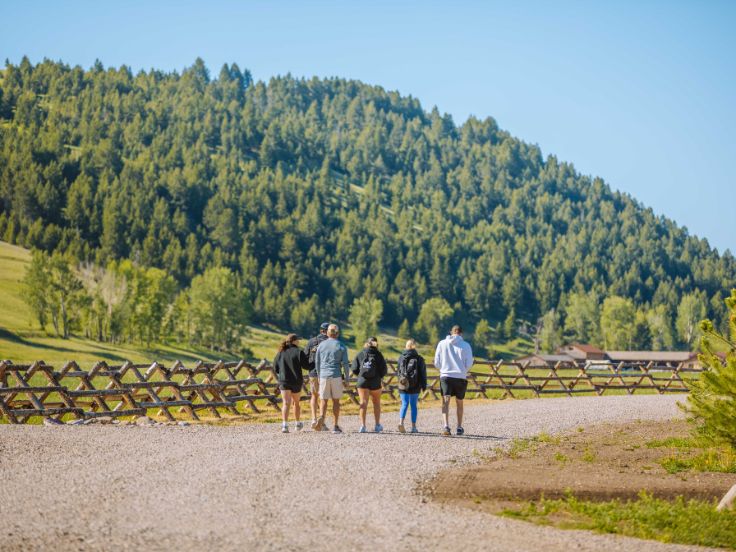 a group of people walk along a road
