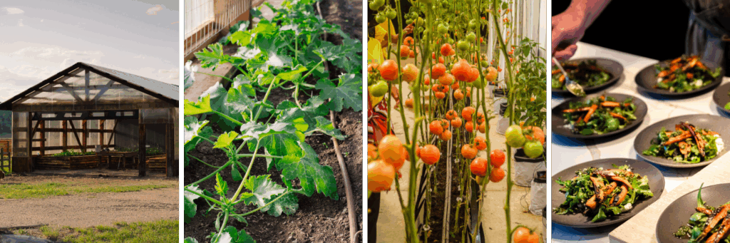 garden-to-table collage from montana resort