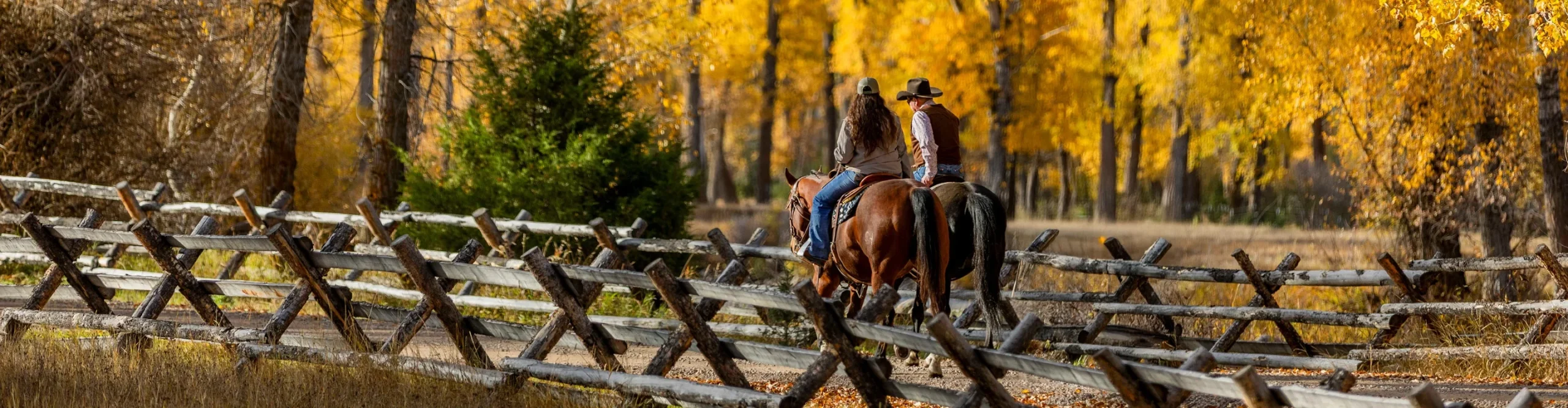 two people riding horses through a cottonwood grove
